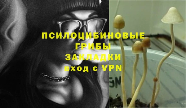 стафф Алзамай
