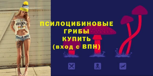 стафф Алзамай
