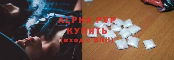 стафф Алзамай