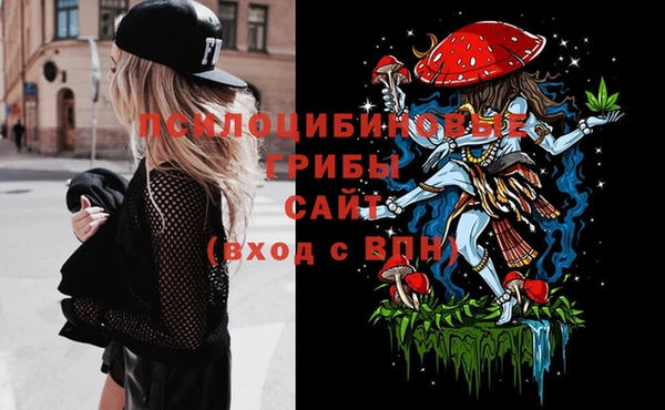 стафф Алзамай
